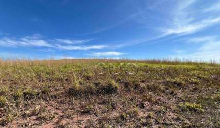 Terreno à venda, 596 m² por R$ 417.300,00 - Vitoria Regia - Piracicaba/SP