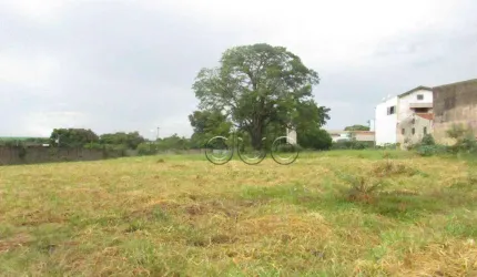 Terreno para alugar, 6364 m² por R$ 7.200,00/mês - Nossa Senhora de Fátima - Piracicaba/SP