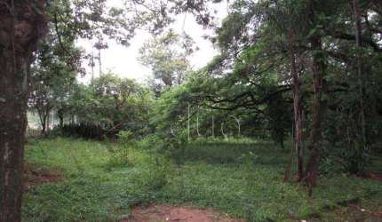 Área à venda, 15300 m² por R$ 5.600.000,00 - Jardim São Mateus - Piracicaba/SP