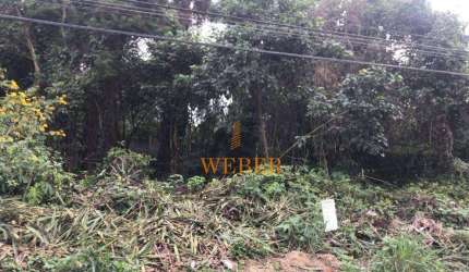 Terreno à venda, 500 m² por R$ 275.000,00 - Jardim Colibri - Cotia/SP
