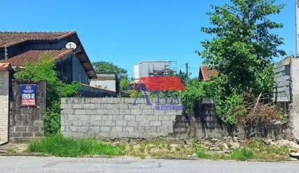 Terreno à venda, 300 m² por R$ 360.000,00 - Parque São Luis - Cubatão/SP