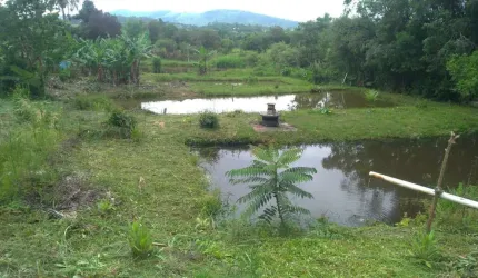 Chácara com 3 dormitórios à venda, 8000 m² por R$ 600.000,00 - Imbúia - Pouso Alegre/MG