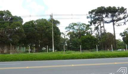 Terreno de 1.342,73m²  Rodovia BR-376 - Bairro Piriquitos