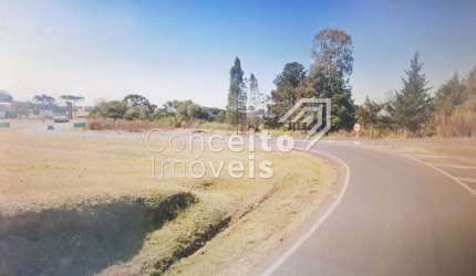 Terreno Comercial no Trevo BR 373 - Saída para BR 376