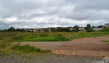Terreno com 4.839,19 m² - Nova Rússia