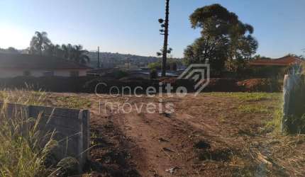 Terreno de Esquina com 924m² - Vila Liane - Órfãs