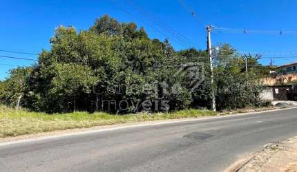 Terreno com 1.128m² - Palmeirinha