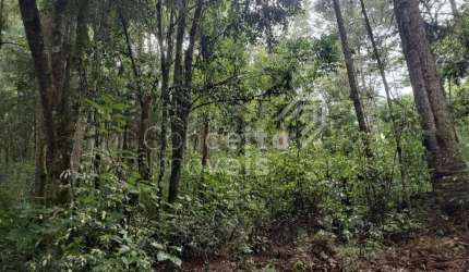 Chácara - Vila Santa Leopoldina - Castro-Pr