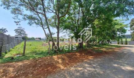 Terreno com 2.948 m² - Cará Cará