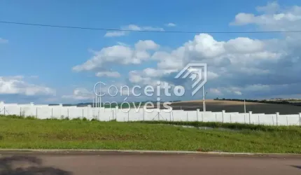 Terreno Comercial - Alphaville - Jardim Carvalho