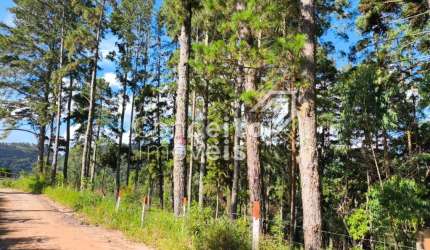 Terreno com 3.943m² - Alagados
