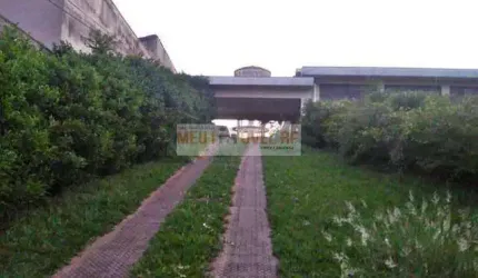 Casa com 4 dormitórios à venda, 676 m² por R$ 2.500.000,00 - Jardim Paulistano - Ribeirão Preto/SP
