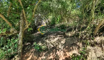 TERRENO SABAUNA