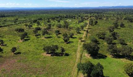 Fazenda 845 hectares | Dupla Aptidão - 26km de Cuiabá MT*