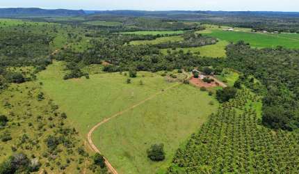 Fazenda 143 hectares com 2.000mts de beira de RIO