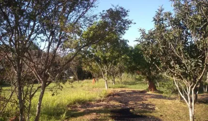 Chácara com 14 mil m2 em Capela do Alto com Piscina