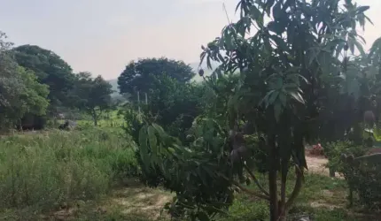Chácara em Capela do Alto