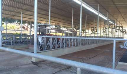 Fazenda de 51 alqueires Angatuba