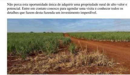 Fazenda em Cana Ribeirão Bonito, SP