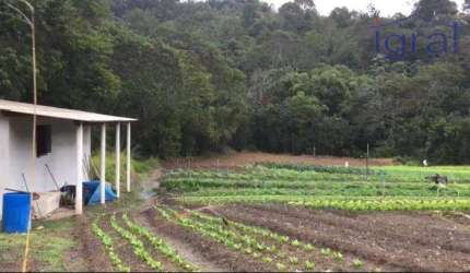 Sitio em Piracaia com 8.000m²  R$ 240.000,00 imóvel com plantação, edificação simples não finalizada apenas 15 km do centro.