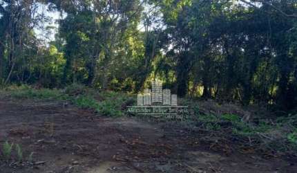 Terreno à venda na Loteamento Luzemar, Praia do Ervino, São Francisco do Sul por R$ 90.000
