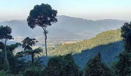 Chácara / sítio à venda na Alto São Bernardo, Zona Rural, Rio dos Cedros por R$ 300.000