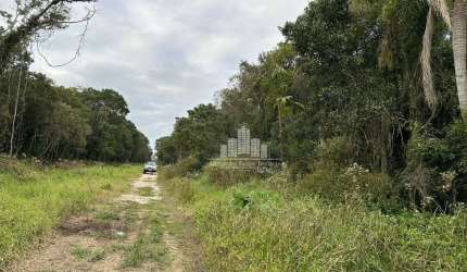 Terreno à venda na Rua do Linguado, 1, Praia do Ervino, São Francisco do Sul por R$ 270.000