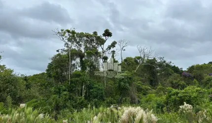 Terreno à venda na Quadra 31 Lote 09, Praia do Ervino, São Francisco do Sul por R$ 95.000