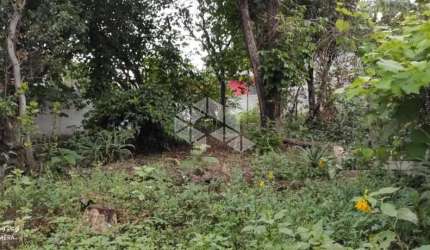 Terreno à venda na Rua José Tomás de Sousa, 133, Vila Clarice, São Paulo por R$ 611.000