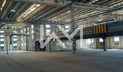 Galpão para Venda e Locação: 12.281m² de Área Total e 11.000m² de Área Construída