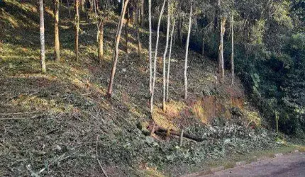 Terreno à venda, 1900 m² por R$ 170.000 - Boa Vista - Mairiporã/SP