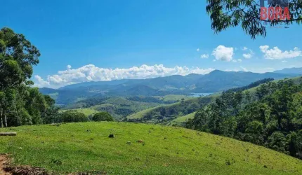 Fazenda 46 alqueires paulista por R$ 4.400.000  Piracaia/SP