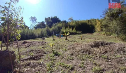 Terreno à venda, 6000 m² por R$ 400.000 - Rio Acima - Mairiporã/SP