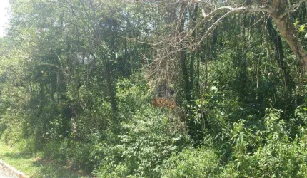 Terreno à venda, 2800 m² por R$ 260.000,00 - Parque Germânia - Mairiporã/SP
