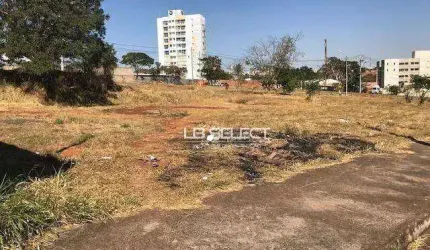 Três terrenos no bairro Bosque dos Buritis com 770 metros quadrados ( podem ser vendidos juntos ou separados)