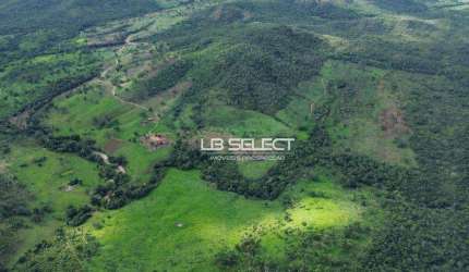 Fazenda na região de Minaçu com 211 Alqueires.