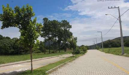 Terreno para Venda em Florianópolis, São João do Rio Vermelho
