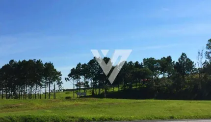 Área, 10900 m² - venda por R$ 6.900.000,00 ou aluguel por R$ 10.000,00/mês - Itavuvu - Sorocaba/SP