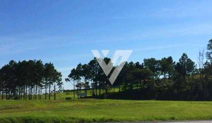 Área, 10900 m² - venda por R$ 6.900.000,00 ou aluguel por R$ 10.000,00/mês - Itavuvu - Sorocaba/SP