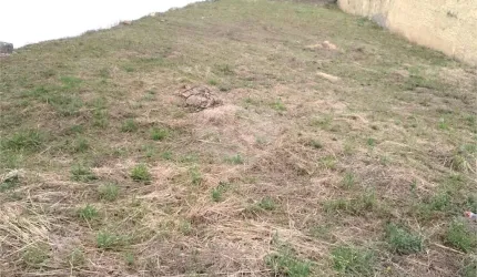 Terreno à venda em Vila Santista - SP