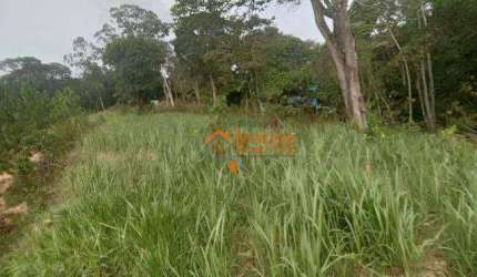 Terreno à venda, 5000 m² por R$ 2.500.000,00 - Capelinha - Guarulhos/SP