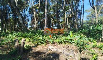 Terreno à venda, 3.068m²  por R$ 212.000 - Parque Santos Dumont - Guarulhos/SP