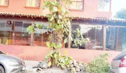 OPORTUNIDADE Sobrado à venda, 339 m² por R$ 1.500.000 - Campo Grande - Santos/SP