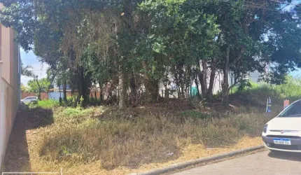 terreno pronto para construir em picarras
