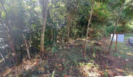 Lote em Condomínio Fechado para Venda em Nova Lima, Arvoredo