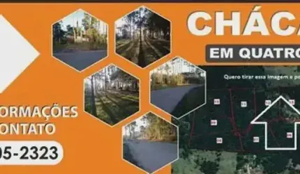 14 chácaras disponíveis para venda em Quatro Barras