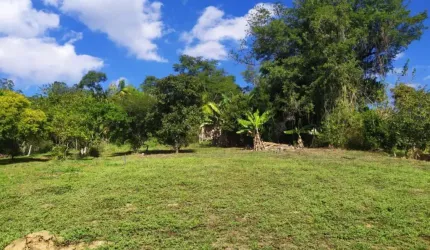 Terreno comercial à venda na Rua Governador Jorge Lacerda, Velha Central, Blumenau por R$ 550.000
