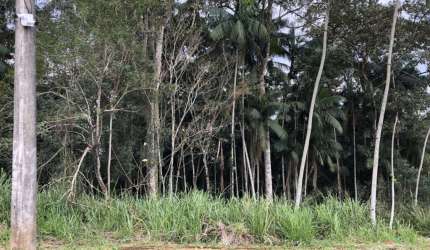 Terreno à venda na Arnoldo Lubke, Velha, Blumenau por R$ 550.000