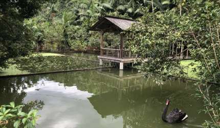 Chácara / sítio com 3 quartos à venda na Rua Minas da Prata, 1073, Progresso, Blumenau, 160 m2 por R$ 2.500.000