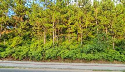 Terreno comercial à venda na Avenida 21 de Janeiro, Centro, Pomerode por R$ 2.800.000